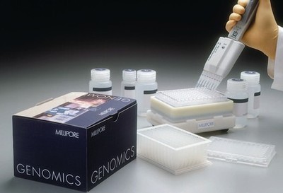 人着丝粒蛋白B(CENP-B)ELISA试剂盒(货号:优质推荐)-上海博研生物工程研究中心